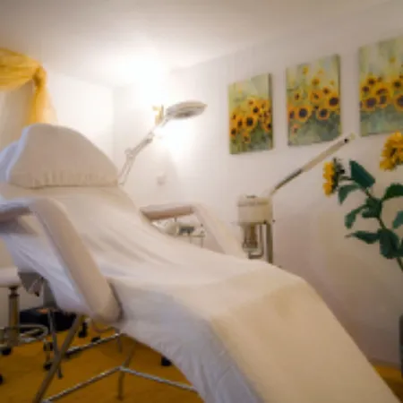 Hotel-restaurant-cafe Ehrich Hotel Schoemberg (Calw)