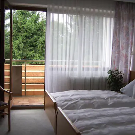 Hotel Hotel-restaurant-cafe Ehrich 3*