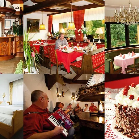 Otel Hotel-restaurant-cafe Ehrich